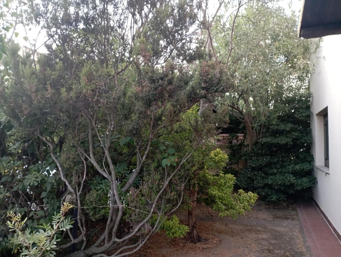 مبيت وإفطار أولبيا Domus Garden المظهر الخارجي الصورة