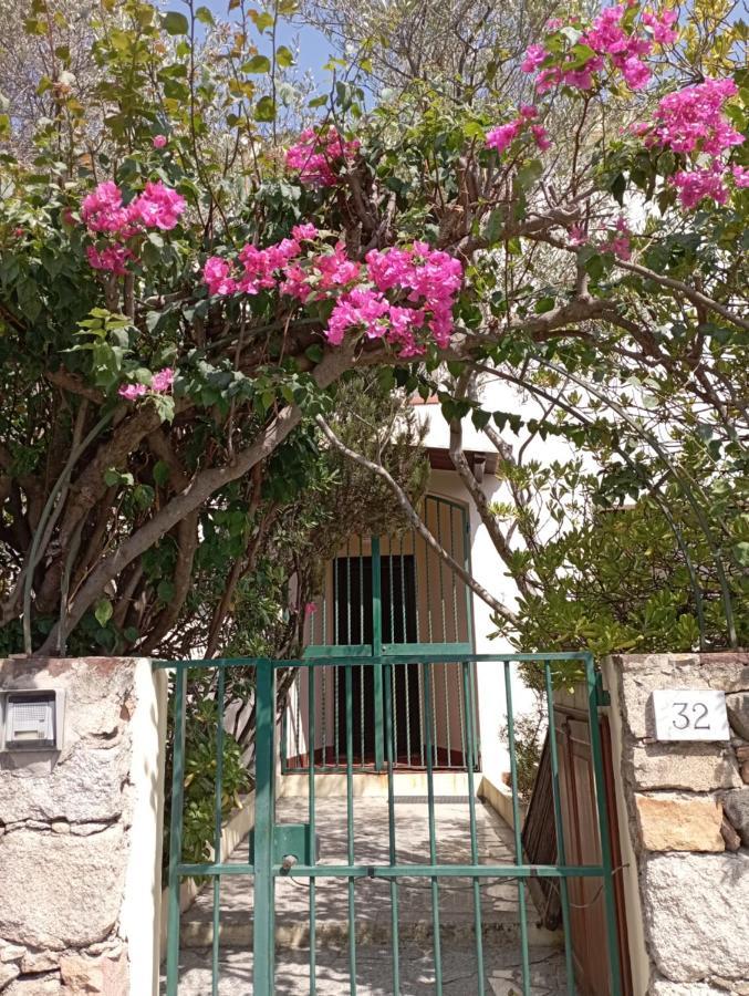 مبيت وإفطار أولبيا Domus Garden المظهر الخارجي الصورة