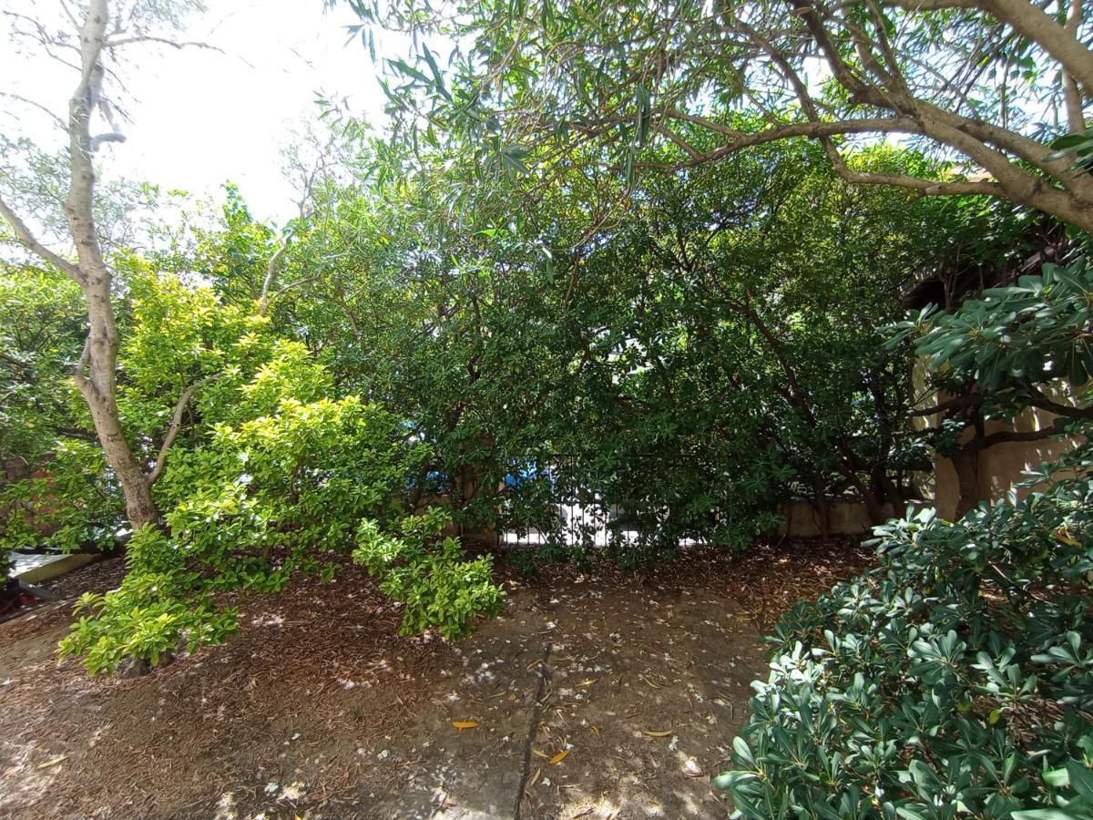 مبيت وإفطار أولبيا Domus Garden المظهر الخارجي الصورة